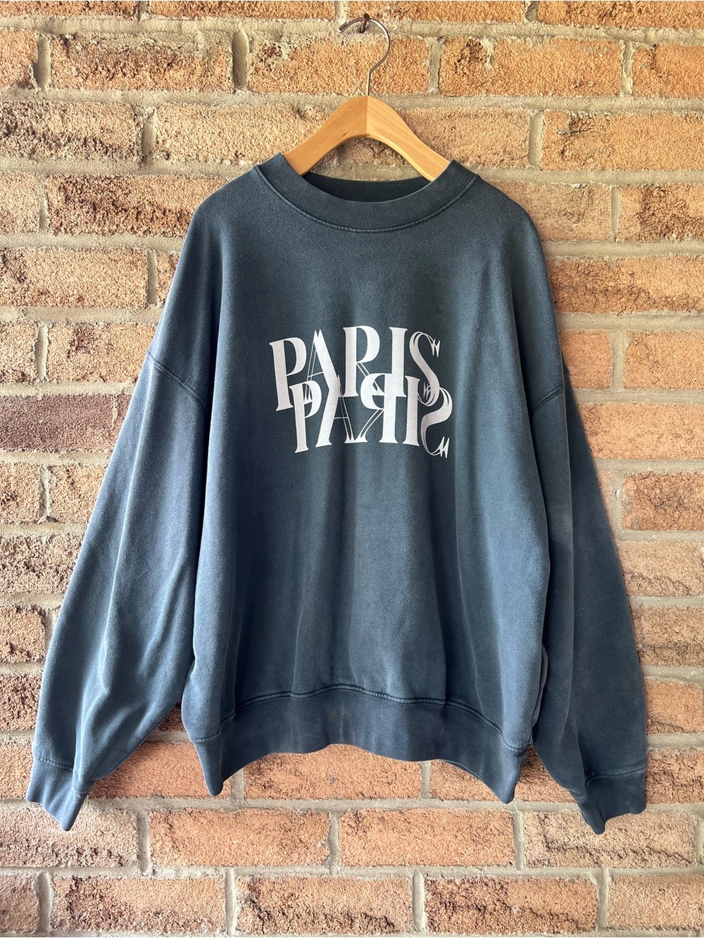 ANINE BING Not-So-Perfect Jaci Paris Graphic Oversized Sweatshirt M
